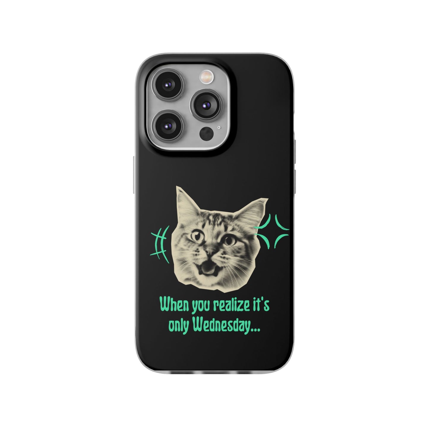 Crazy Cat Case