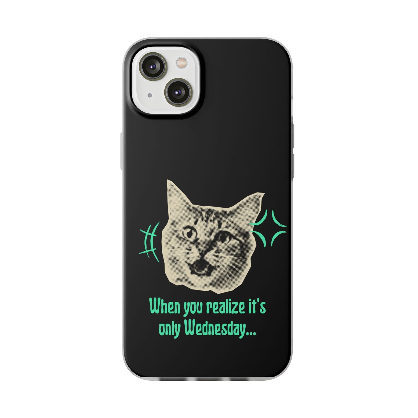 Crazy Cat Case