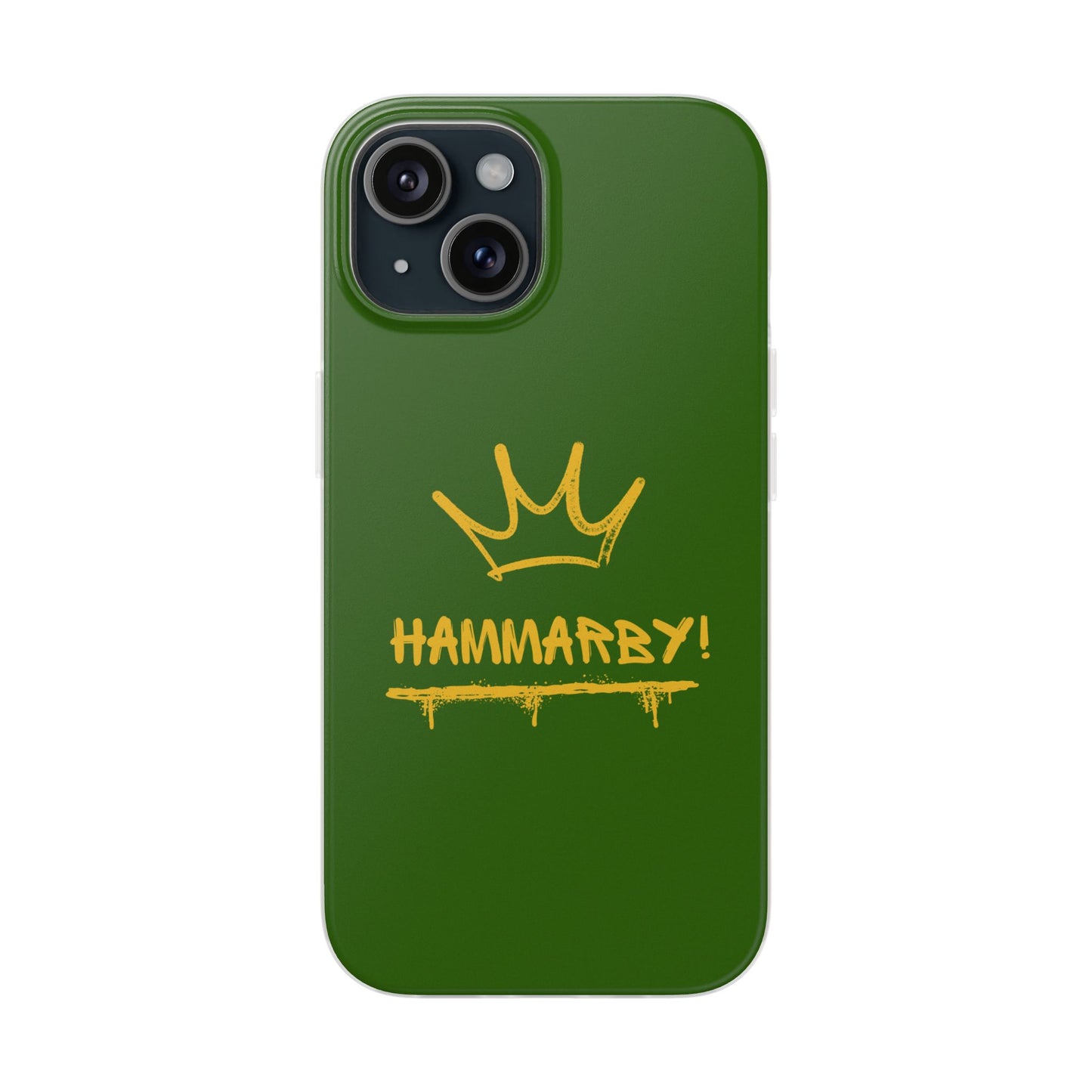 Hammarby Case