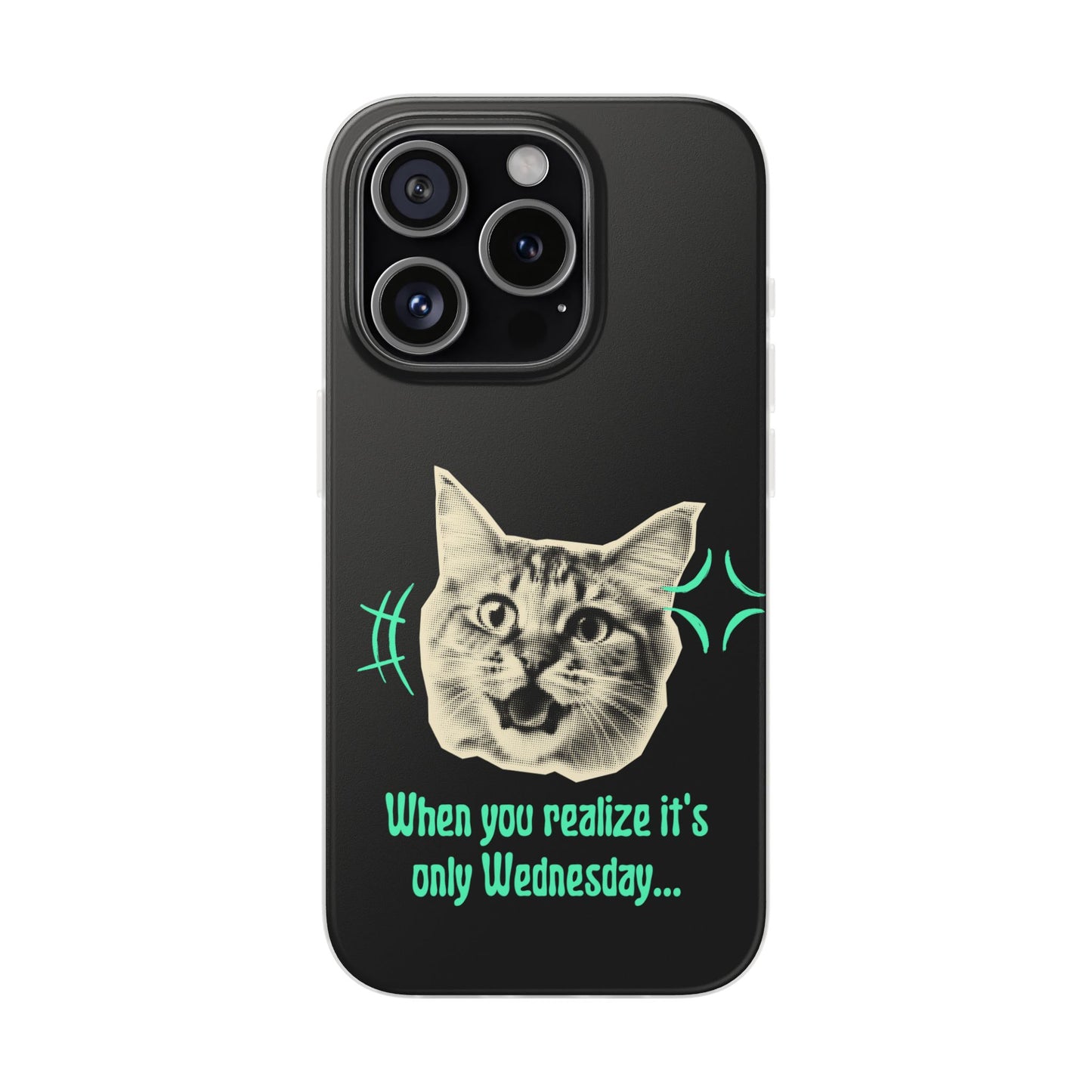 Crazy Cat Case