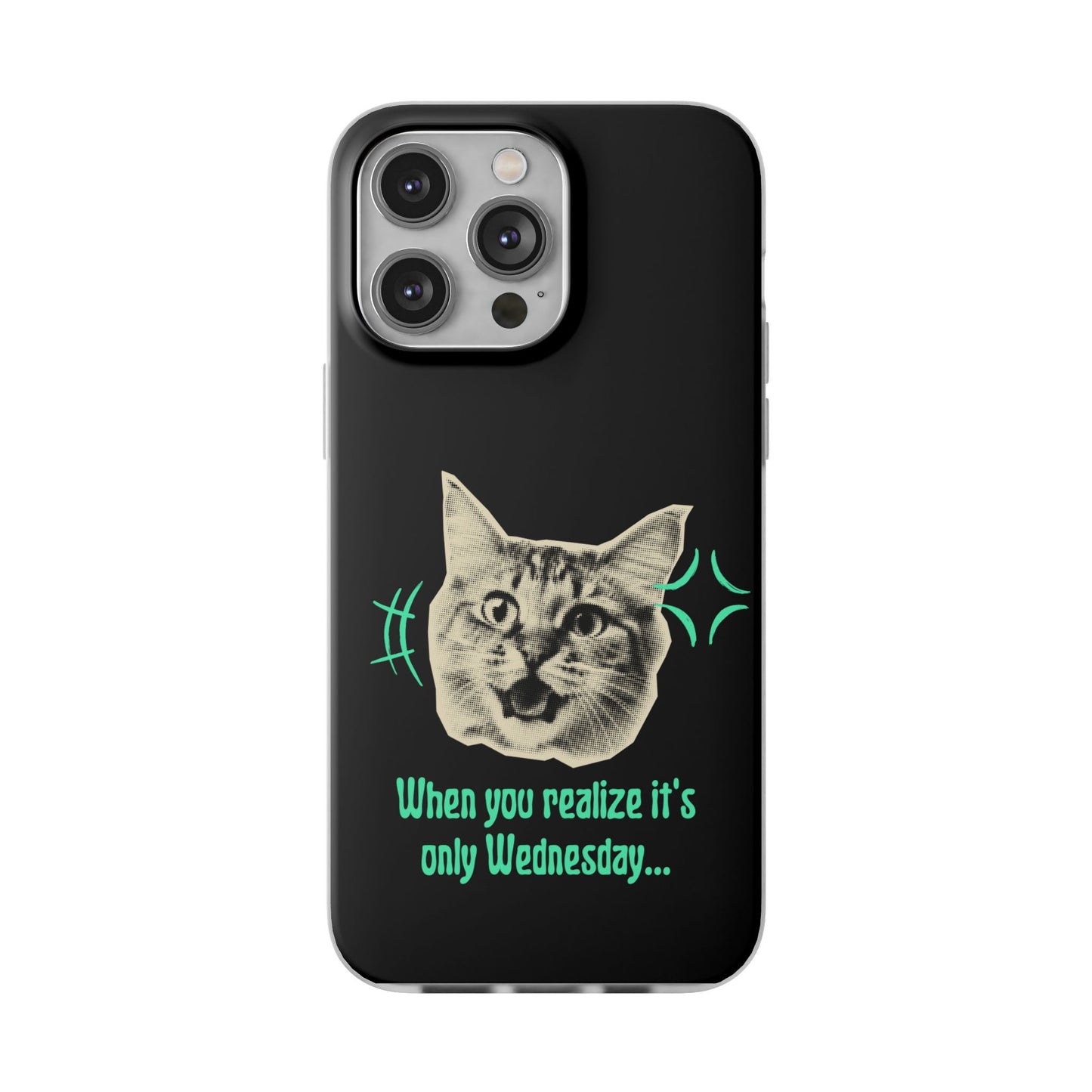 Crazy Cat Case