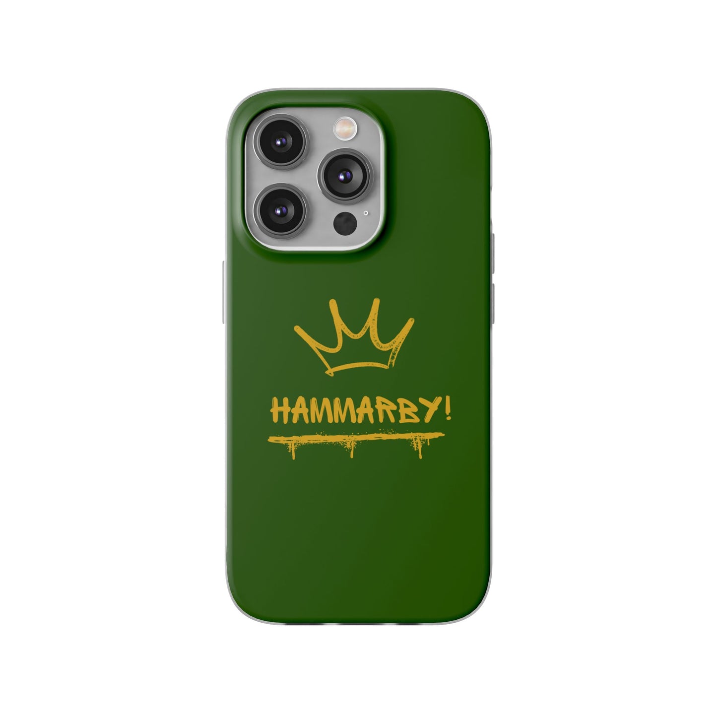 Hammarby Case