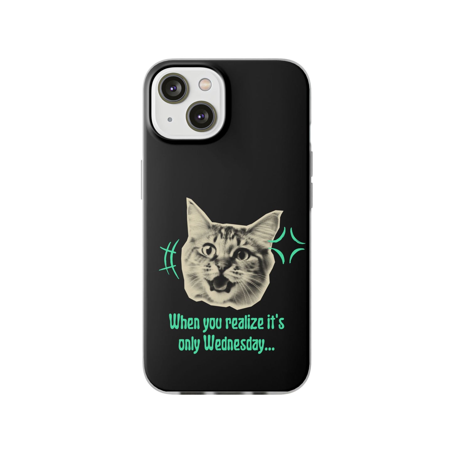 Crazy Cat Case