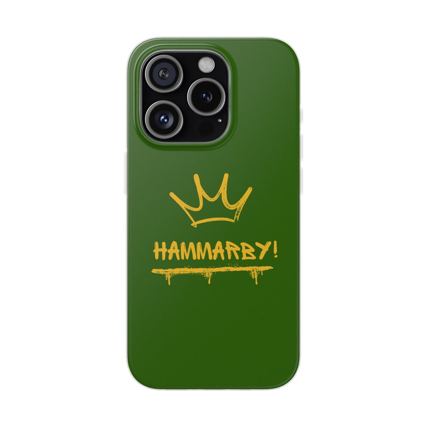 Hammarby Case