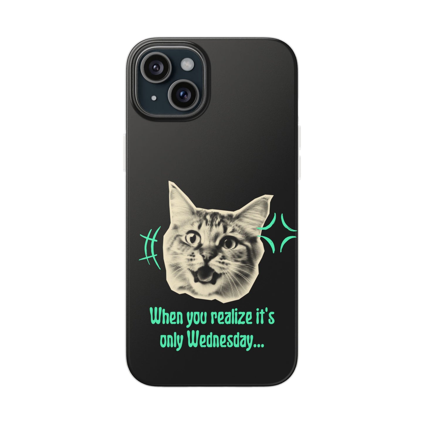 Crazy Cat Case